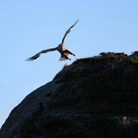 Tors At Haukland Domek alpejski *