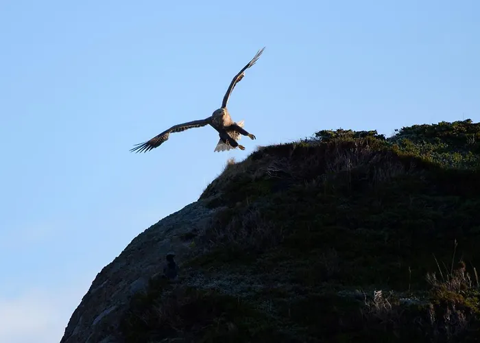 Tors At Haukland Domek alpejski *